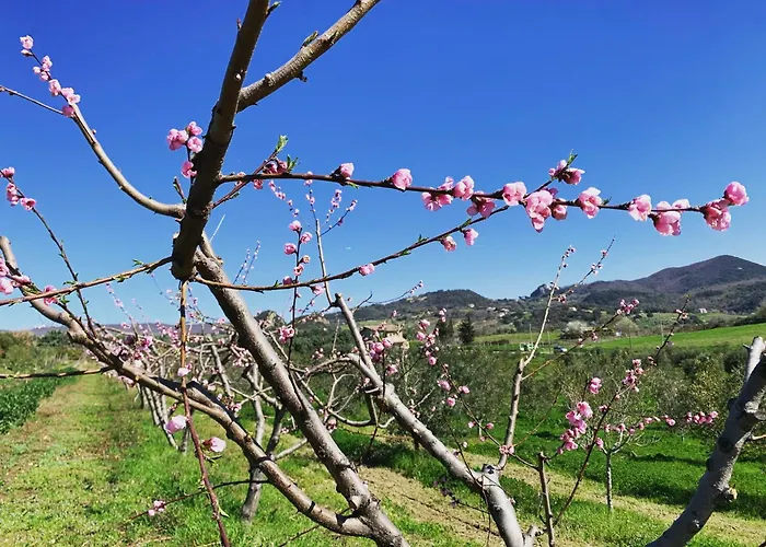 Agriturismo Casale Sasso