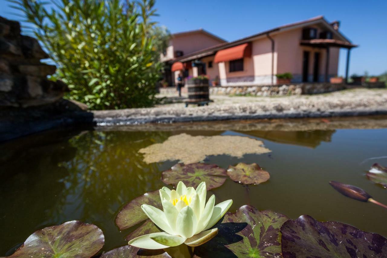 Landhaus Casale Sasso Cerveteri