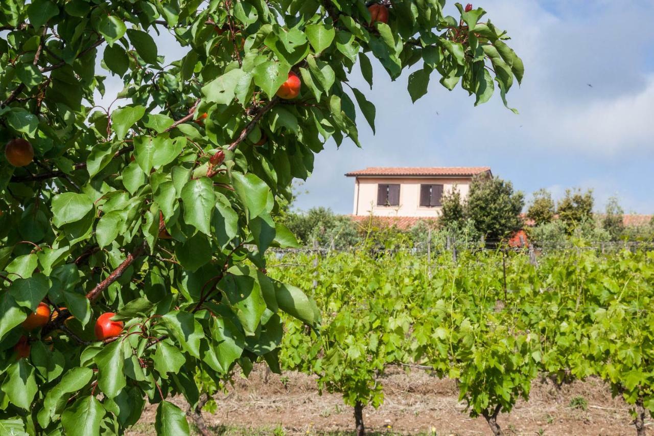 Landhaus Casale Sasso