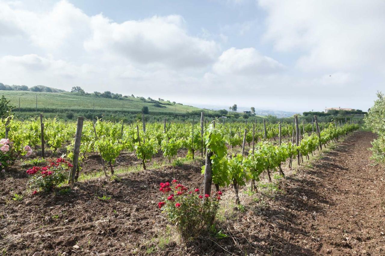 Casale Sasso Cerveteri